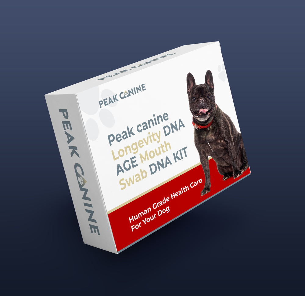 PeakCanine Welness age mouth swab DNA kit for dogs